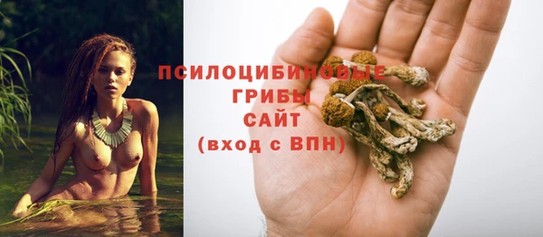 винт Белокуриха